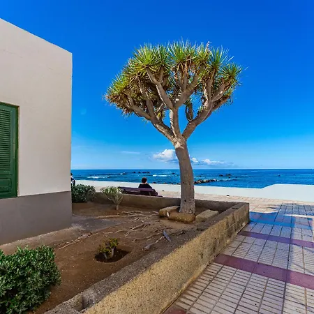 Atlantic View Premium Oceanfront Apartamento *
